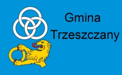 Flaga gminy Trzeszczany.